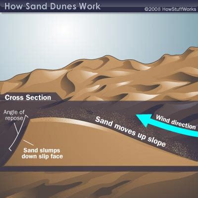 Sand Dune Formation | HowStuffWorks