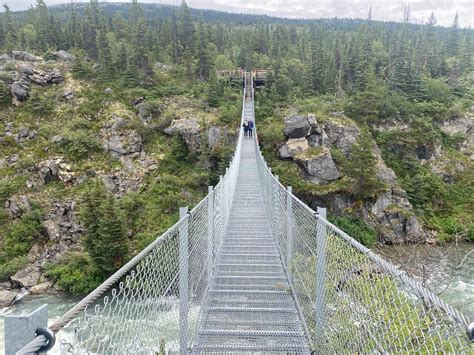 5 HOUR YUKON TOUR WITH ONE ATTRACTION: DOG MUSHING OR YUKON SUSPENSION BRIDGE - Skagway Private ...