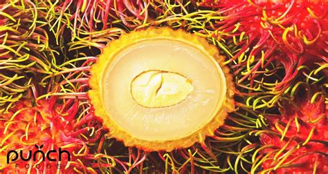 Are Rambutan Seeds Edible? Find Out Here!