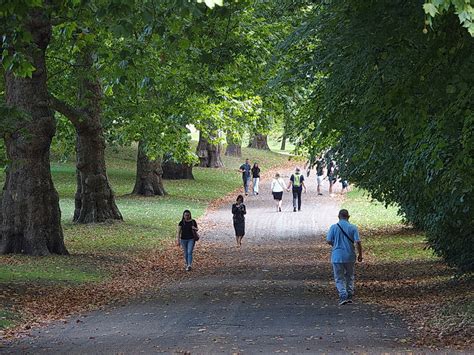 In photos: London’s Green Park turns golden brown as trees shed their ...