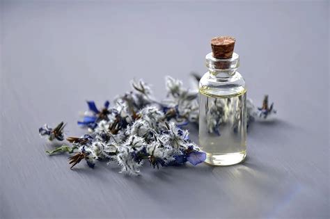 essential oils, flower, aromatherapy, cosmetology, oil cosmetic, spa, thyme, flowers, therapy ...