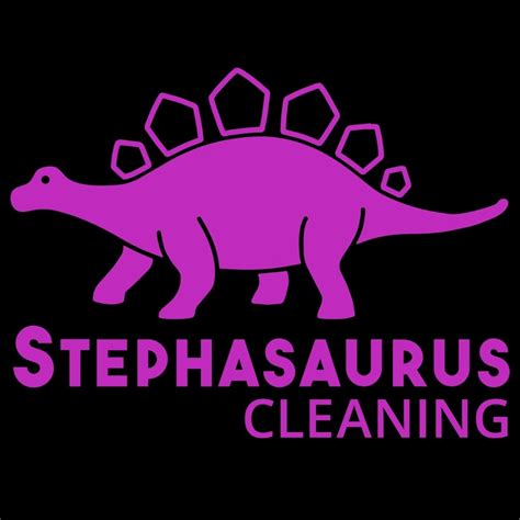 Stephasaurus Cleaning | East Maitland NSW