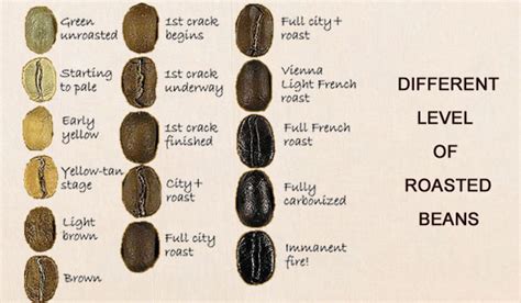 How to Roast Coffee Beans at Home