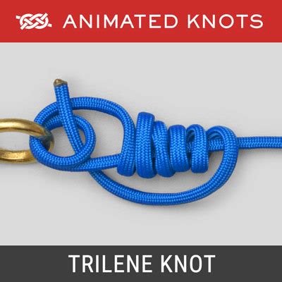 Trilene Knot | Fishing Knots | Animated Knots by Grog