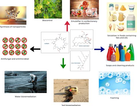 Some industrial applications for biosurfactants | Download Scientific ...