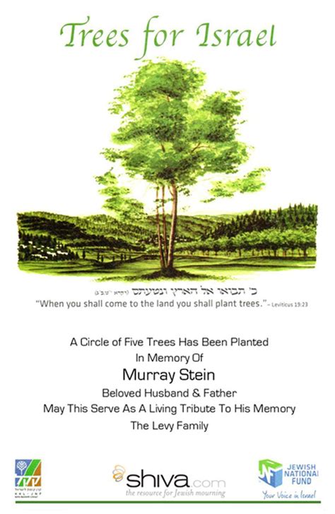 Trees for Israel | Trees to plant, Tree, Plants