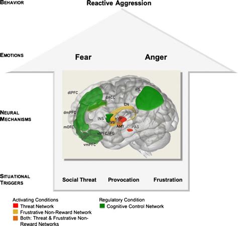 Working model of reactive aggression representing major brain regions... | Download Scientific ...