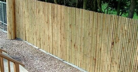 Bamboo Grove Photo: Bamboo Fence Rolls