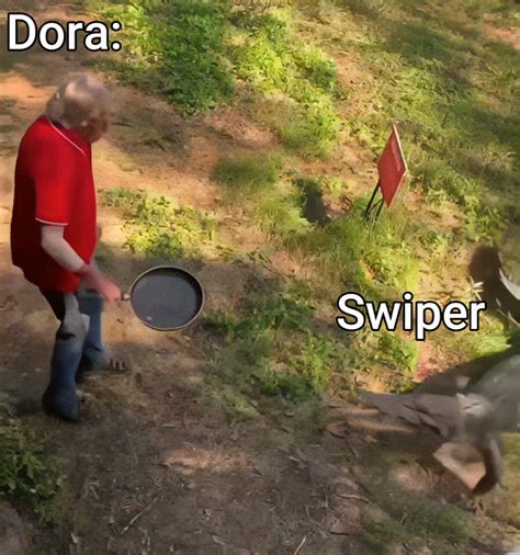 Swiper no swiping! : r/memes