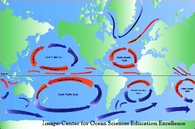 Ocean currents that move toward the poles are _____. cold in the Northern Hemisphere and warm in ...