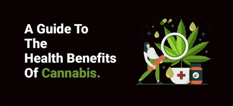 A Guide To The Health Benefits Of Cannabis