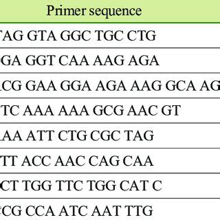 Primer sequences and specific amplicon size. | Download Table