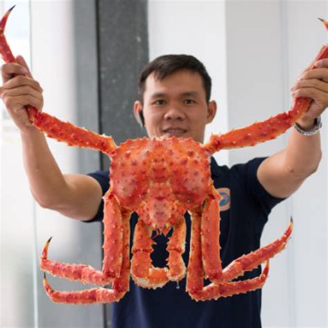 King Crab Size 10lb: Feast on Giant Alaskan Delicacy