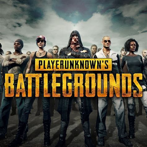 Player unknown battlegrounds pc price - solutionlasopa