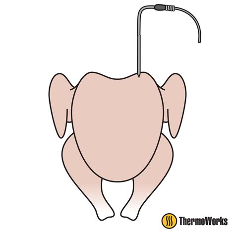 Proper Probe Placement in Your Turkey | Turkey cooking temperature ...