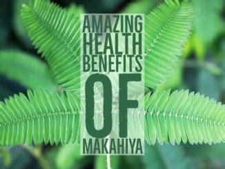 20 Amazing Health Benefits Of Gumamela - pangbenta.com