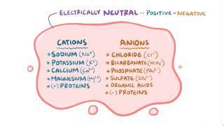 Mudpiles Anion Gap Metabolic Acidosis