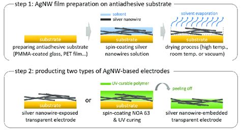 Scheme of the fabrication process of two types of silver nanowire... | Download Scientific Diagram