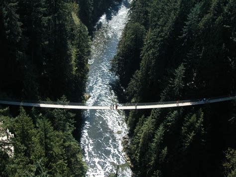 Capilano Suspension Bridge Park Guide | Vancouver, BC