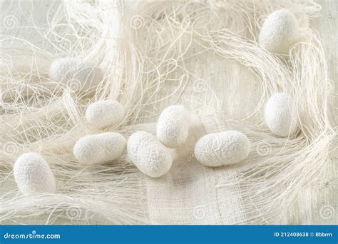 Silk Cocoon the Commercially Bred Caterpillar of Silkworm Moth Stock Photo - Image of natural ...