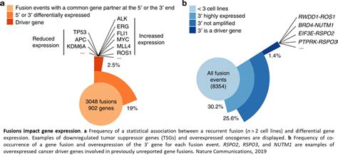 CRISPR to identify gene fusions critical for cancer growth – Science ...