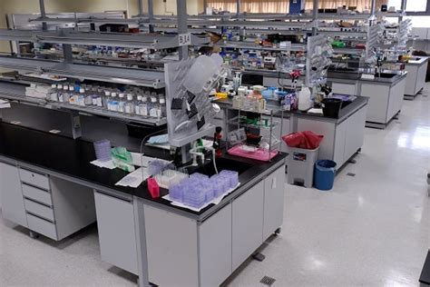 Laboratory - Wikipedia