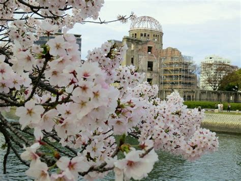 sakura-peace-park-hiroshima_3019 | The Mad Traveler