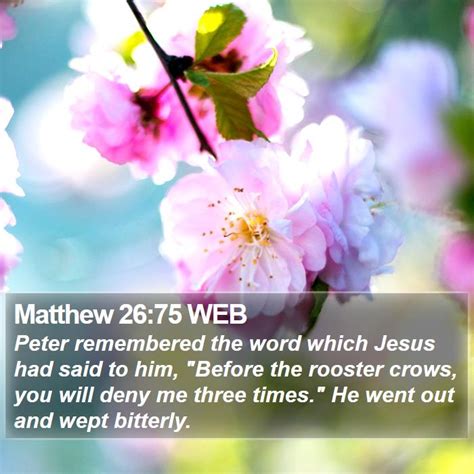 Matthew 26 Scripture Images - Matthew Chapter 26 WEB Bible Verse Pictures