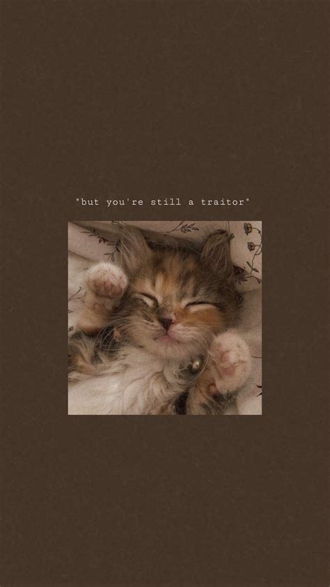 a small kitten laying on top of a bed next to a quote that reads, but ...