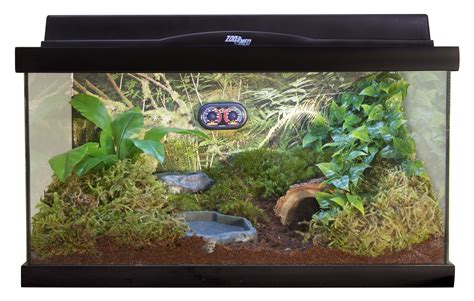 axolotl habitat kit