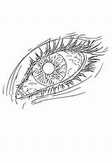 Realistic Eye Coloring Pages sketch template