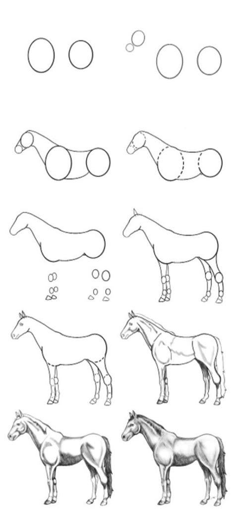 How To Draw A Horse For Beginners - Stuffjourney Giggmohrbrothers