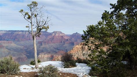 South Rim Grand Canyon Scenic Free Stock Photo - Public Domain Pictures