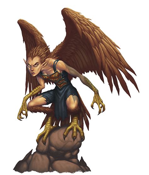 Harpy (5e Race) - D&D Wiki