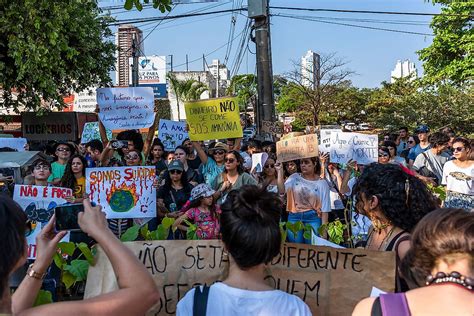 Activists Who Sacrificed Their Lives To Save The Amazon Rainforest - WorldAtlas