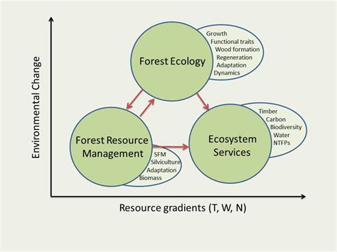 What is Ecology? Branches of Ecology. Plant and Forest Ecology ...