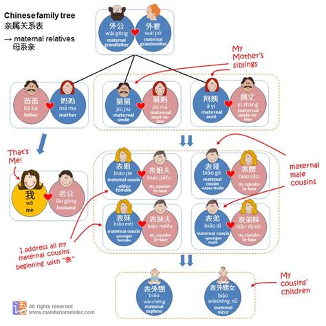 Maternal Relatives in the Chinese Family Tree are known as 表亲 biǎo qīn and follows a separate ...