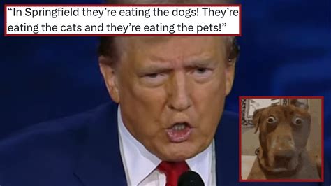 They're Eating the Dogs: Video Gallery | Know Your Meme