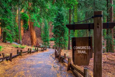 22 Best Things to Do in Sequoia National Park (+ Tips for Visiting ...