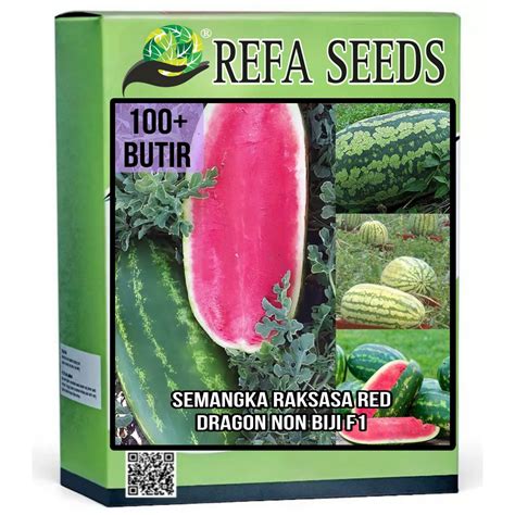 Isi 100 Benih Buah Semangka Raksasa Red Dragon F1 Original / biji ...