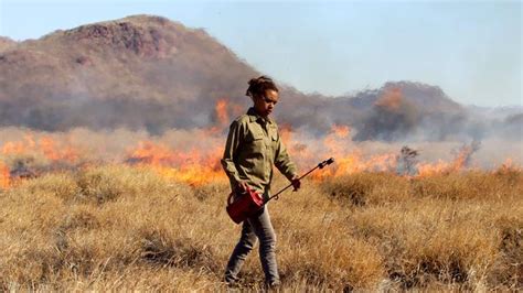 Outback firestick farming returns to APY lands in a blaze of glory | The Weekly Times