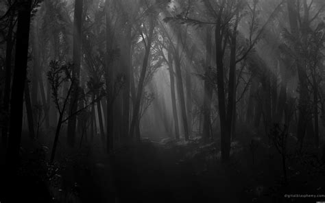 Scary Forest Wallpaper - WallpaperSafari