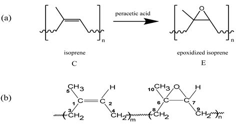 Molecules | Free Full-Text | A Structural Study of Epoxidized Natural ...