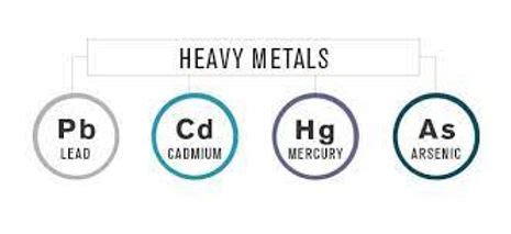 Common Heavy Metals: Sources and Specific Effects