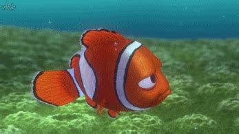 finding nemo gif on Tumblr