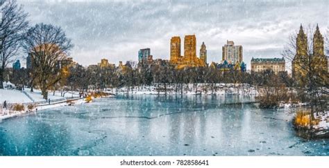 New York City Central Park Snow Stock Photo 782858641 | Shutterstock