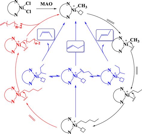 Proposed mechanism of ethylene oligomerization | Download Scientific ...