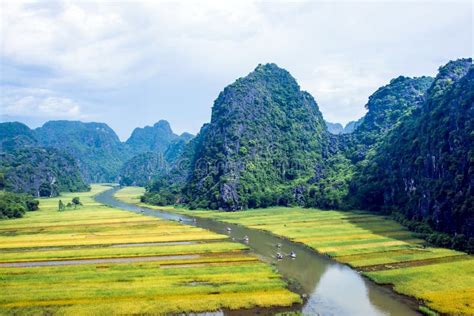 Rice field in Tam Coc stock image. Image of boat, quiet - 131769449