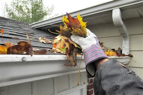 Best Gutter Guard Reviews