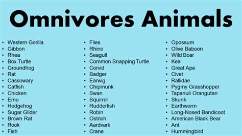 List of Omnivores Animals - GrammarVocab